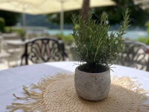 Fotografie z fotogalerie ubytování Strandhotel Kärntnerhof v destinaci Pörtschach am Wörthersee
