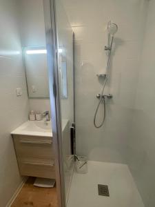 un baño con ducha y lavabo en Studio 30 M2 Centre ville et Port, en La Grande-Motte