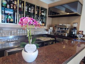 a vase with a flower on a counter in a kitchen at Hotel Diana in Misano Adriatico +8 photos