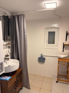 a bathroom with a sink and a shower curtain at Ferienhaus bei Engel in Ahrensbök +37 photos