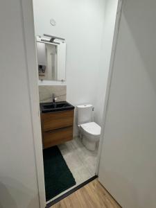 Un baño con inodoro, lavabo y espejo. en studio entier, en Montauban