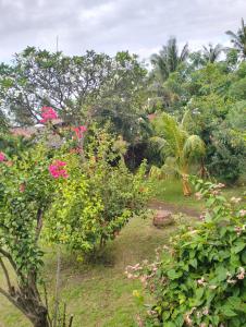 Tangga Bungalows Gili Air外面的花园