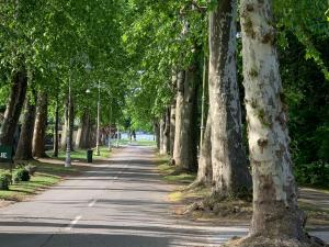 Φωτογραφία από το άλμπουμ του Platan Apartman σε Palić