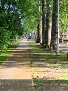 Η γειτονιά γύρω από ή μία γειτονιά κοντά σε αυτό το διαμέρισμα +10 φωτογραφίες