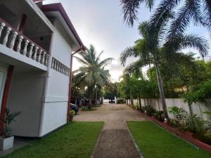 a driveway leading to a house with palm trees at Northern Residence in Jaffna