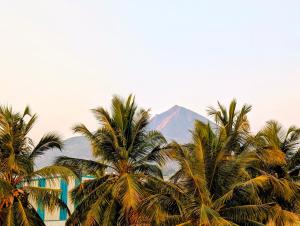 a group of palm trees with a mountain in the background at Yellowra Farmstay Tiruvannamalai in Tiruvannāmalai