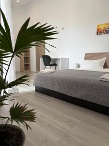 a bedroom with a large bed and a plant at La Cer in Constanţa