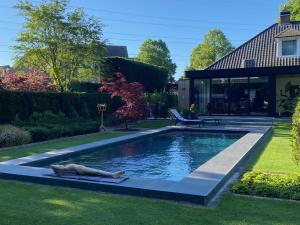 a pool in a yard with a dog laying in the grass at Nachtegaal in Dilsen-Stokkem