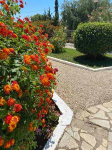 Fotografie z fotogalerie ubytování 4 Seasons apartments v destinaci Himare