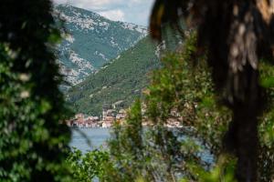 una vista de un cuerpo de agua con una montaña en Salty Nest Residence, en Donji Stoliv