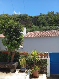 a white building with potted plants in front of it at Ribeira da Praia House in Vila Franca do Campo