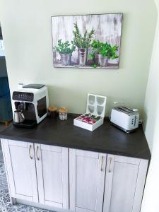 a counter with a microwave and a toaster and a printer at Villa Tomima in Ostrava +14 photos