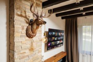 Fotografie z fotogalerie ubytování The Moon - Poiana Brasov v destinaci Brašov