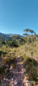 a dirt trail in a grassy field with a tree at EcoCamping Jacaré in Baependi
