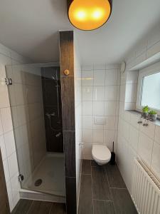 Ihrlersteinにある2-Zimmer Wohnoase in Ihrlersteinのシャワー、トイレ、洗面台付きのバスルーム