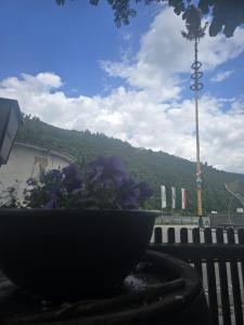 Nespecifikovaný výhled na hory nebo výhled na hory při pohledu z penzionu + 14 fotografií