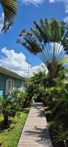 Villa KANOA - T2- classé 4 étoiles - Vue Mer - Piscine - SPA外面的花园