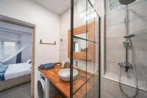 莱特鲁瓦西莱Villa KANOA - T2- classé 4 étoiles - Vue Mer - Piscine - SPA的带水槽和淋浴的浴室