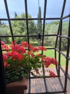 Zahrada ubytování Agriturismo Podere Sant' Antonio
