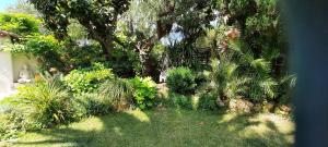Taman di luar Villa netibor