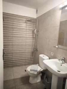 a bathroom with a shower and a toilet and a sink at Alexia Rooms in Palaiochora