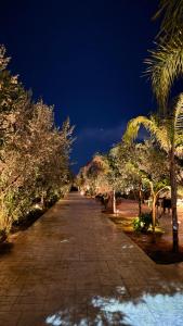 a cobblestone street with palm trees at night at Rida Village Ksamil Island in Ksamil