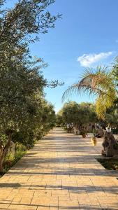 a brick road with trees on each side at Rida Village Ksamil Island in Ksamil