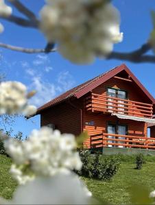 a small wooden house in a field with white flowers at Resort Dudukovic 1 in Slunj