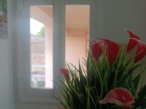 Fotografie z fotogalerie ubytování Bari Cottage v Bari