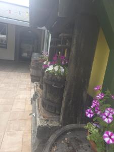 Gallery image of Gasthof zum Schiffmeister in Wesenufer +14 photos