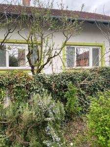 Zahrada ubytování Apartment Hiža 38