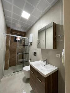 a bathroom with a shower and a sink and a toilet at Lazmaris Suit in Çamlıhemşin