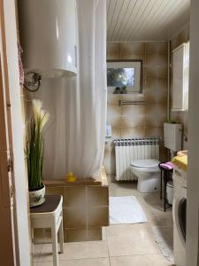 Koupelna v ubytování Apartment Hiža 38