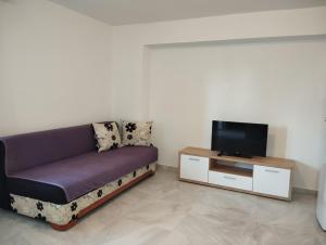 a living room with a couch and a tv at Apartment and Rooms Markovic in Senj
