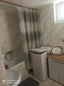 Ένα μπάνιο στο Studio apartman Petra +4 φωτογραφίες