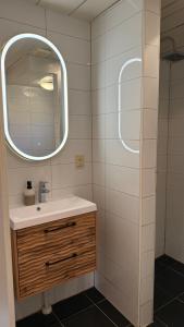 a bathroom with a sink and a mirror at Vakantiehuisje Sinneblom in Grou +16 photos