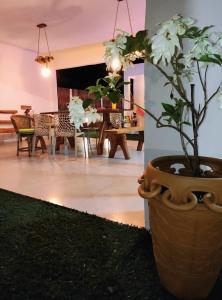 eine große Vase mit Pflanze in einem Raum in der Unterkunft KaBeat House Icaraizinho in Amontada + 9 Fotos