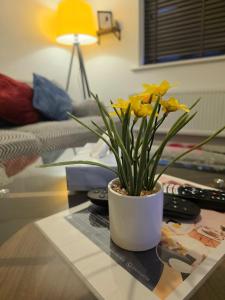 Un jarrón con flores amarillas sobre una mesa de café. en Oakham stay, en Oakham