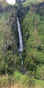 Gallery image of Village homestay&tours in Kiwira