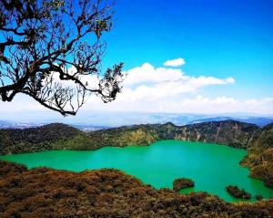 Gallery image of Village homestay&tours in Kiwira