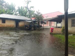 Gallery image of Village homestay&tours in Kiwira