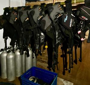 a bunch of umbrellas hanging on a wall at Coco Divers & Homestay Bunaken in Manado