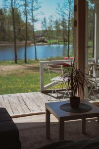 a potted plant sitting on a table on a porch at Aimasas Kempings in Lielie Unguri +16 photos
