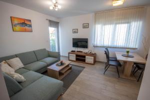 TV a/nebo společenská místnost v ubytování Apartment Ana