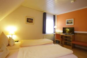 TV a/nebo společenská místnost v ubytování Hotel-Restaurant Gasthof Adler