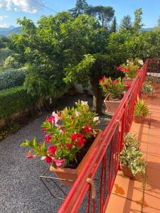 a red railing with flowers on a balcony at Casa Mary in Lucca