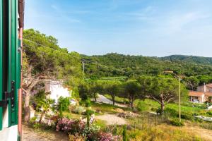 a view from a train window of a park at Grazioso appartamento in campagna a Procchio in Marciana