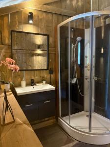 a bathroom with a shower and a sink at Metaxaki 1 in Mikros Gialos