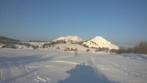 Holiday House Spanner during the winter