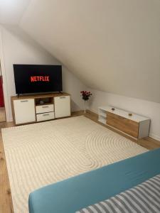 TV a/nebo společenská místnost v ubytování Ferienwohnung für Gruppen oder Familien